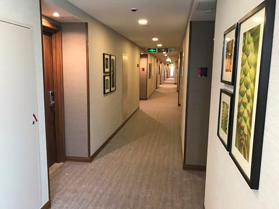 г. Москва: Cтроительство гостиницы Hilton Garden Inn Krasnoselskaya