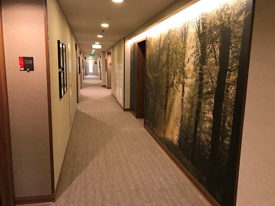 г. Москва: Cтроительство гостиницы Hilton Garden Inn Krasnoselskaya